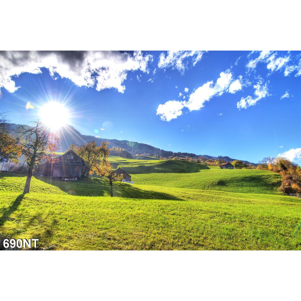 TRANH DÁN TƯỜNG 3D PHONG CẢNH,CẢNH VẬT, CẢNH TRANG TRÍ,THIÊN NHIÊN.