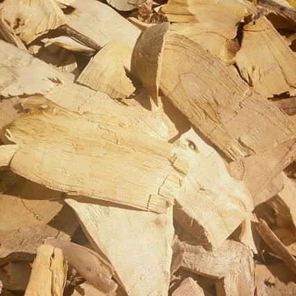 Rễ mật nhân sấy khô 500gram loại thượng hạng DV052