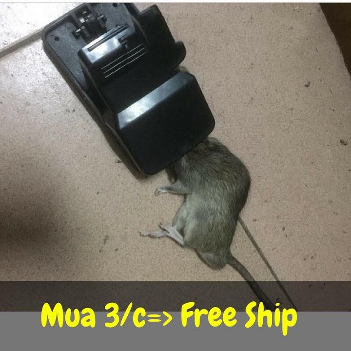 Bẫy chuột thông minh siêu nhạy mà an toàn
