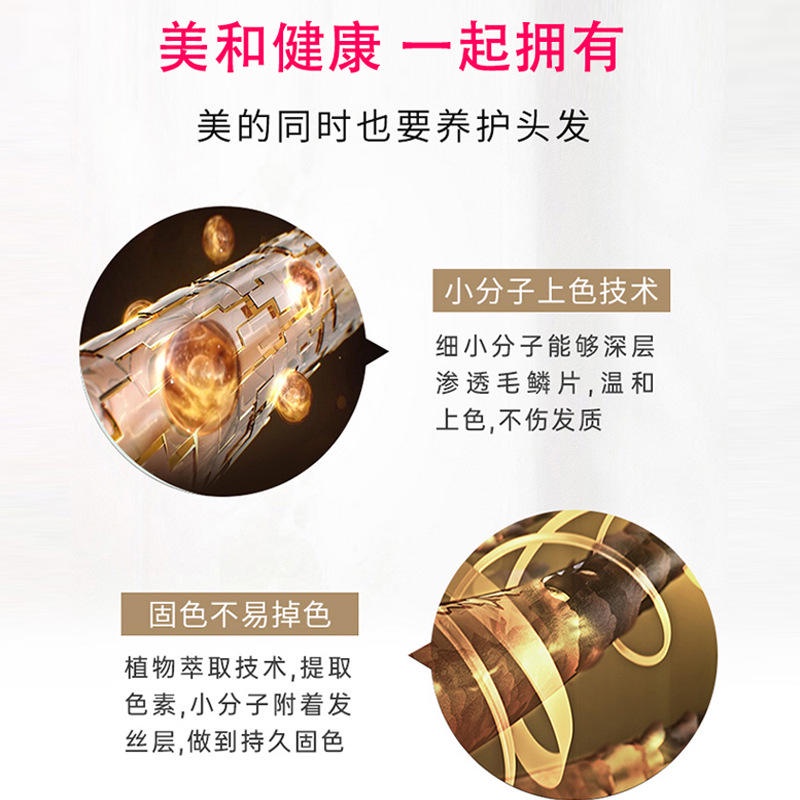 Dầu Gội Nhuộm Tóc Tại Nhà Tạo Bọt Thành Phần Hữu Cơ Tự Nhiên Màu Đen