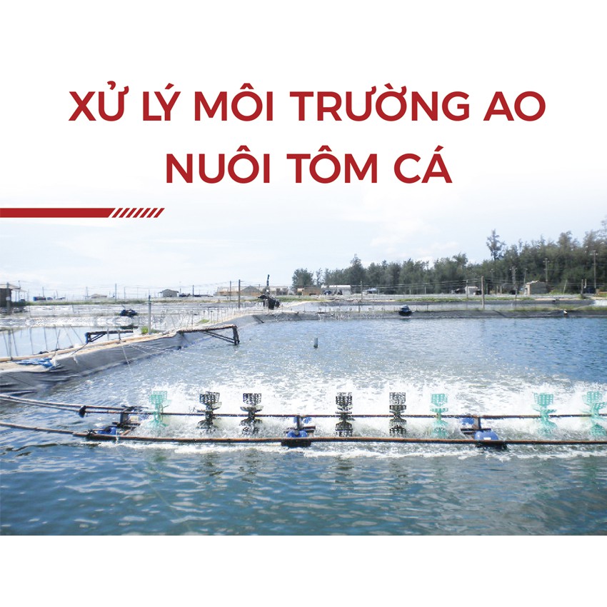 Men vi sinh xử lý nước ao nuôi tôm cá - Khử khí độc ao nuôi tôm cá