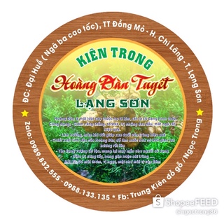 Hương trầm nụ Hoàng Đàn tuyết Lạng Sơn