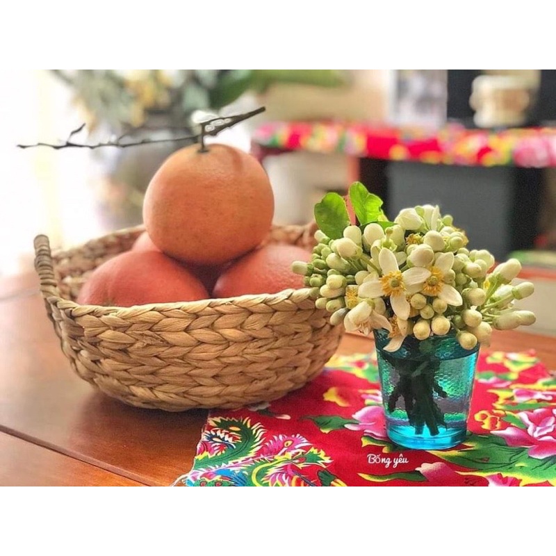 Giỏ thuyền lục bình giỏ cói có quai cầm decor Vintage, mộc mạc, giản dị bảo vệ môi trường