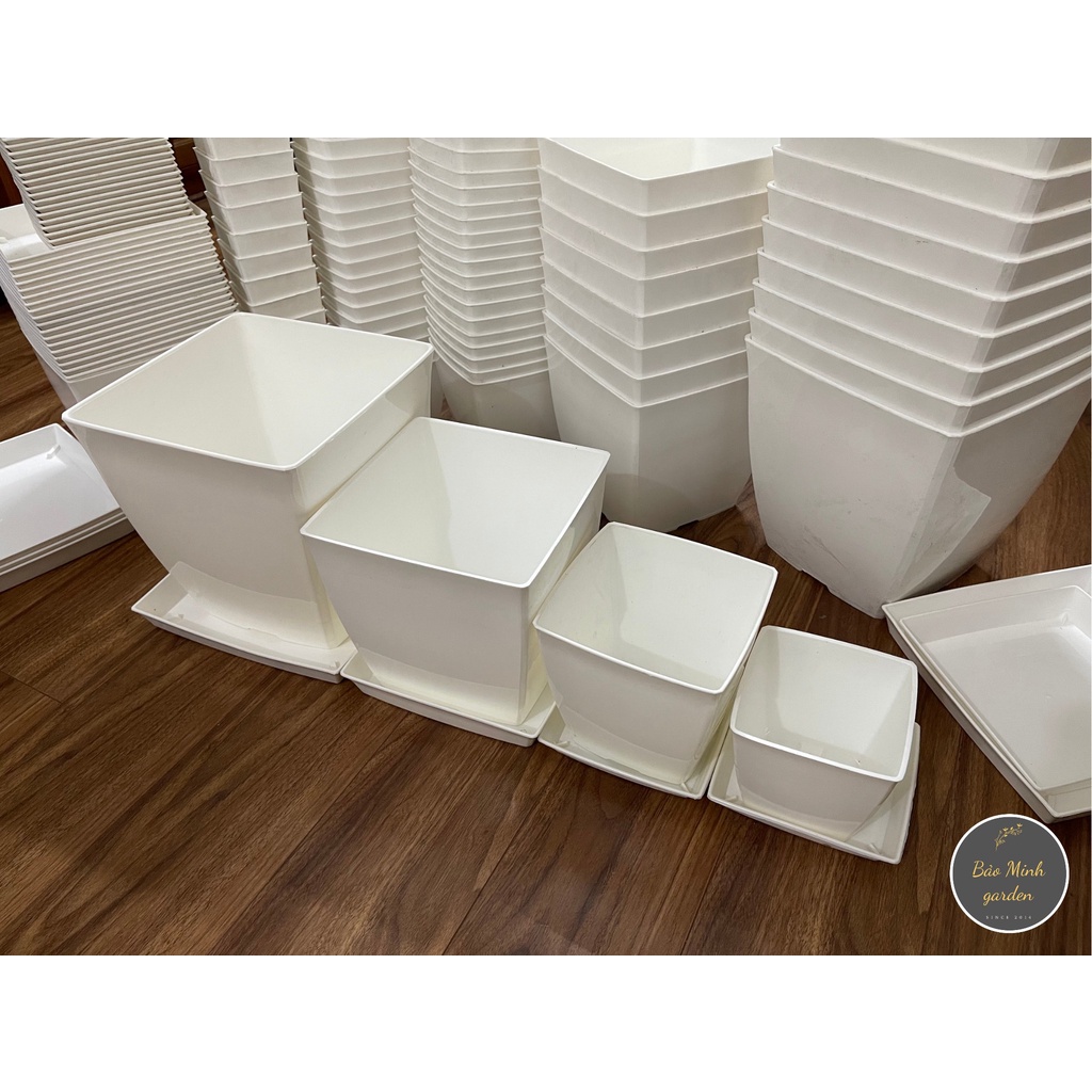 Chậu nhựa vuông 16 x 16cm trồng hoa cây cảnh văn phòng hàng cao cấp của CDT plastis