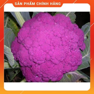 Hạt giống súp lơ tím gói 5H