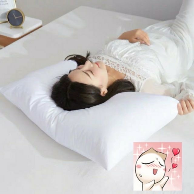 RUỘT GỐI NẰM 45x65 ( 1CHIẾC)