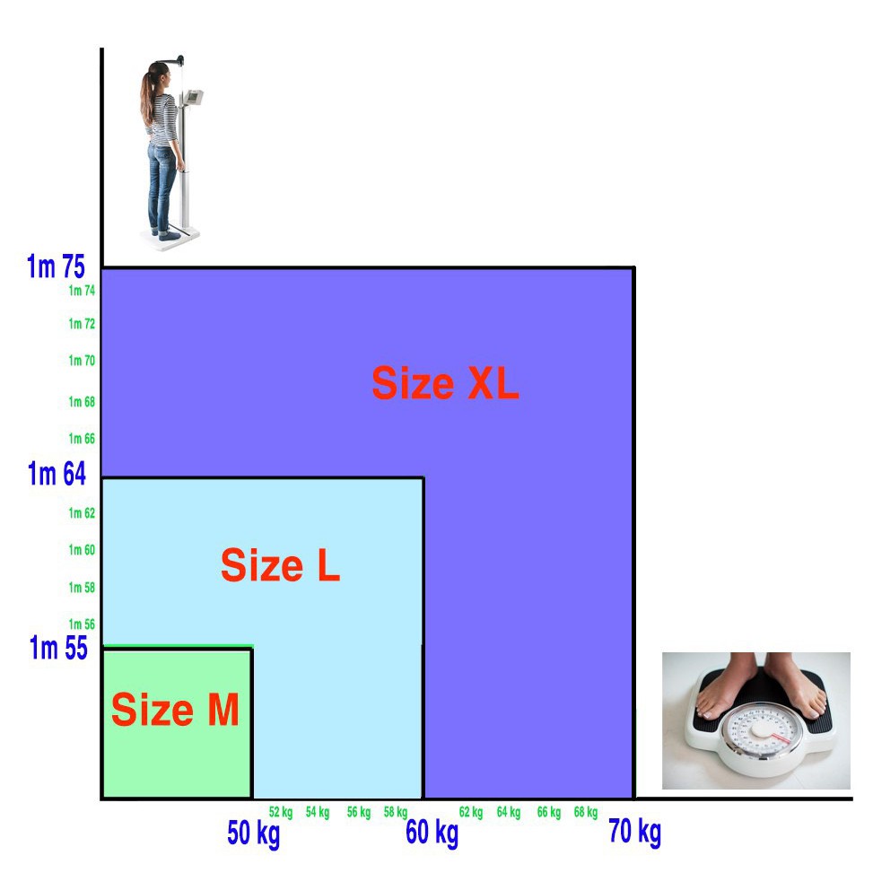 [Ảnh thật] Áo unisex sweater in nỉ bông nhiều màu (38-70kg). word - chữ - pum | BigBuy360 - bigbuy360.vn