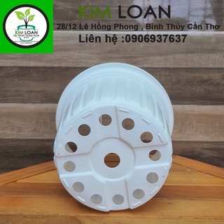 Combo 20 chậu vành cứng C5 20x15cm