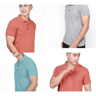 Áo Polo Cá Sấu 100% - The Basic Phong Cách Thời Trang Lịch Lãm