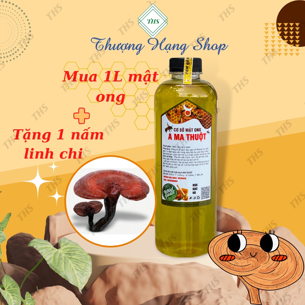 Mật Ong Bạc Hà AMT 100% Nguyên Chất Chai 1L (1,5kg) - Mật ong tự nhiên tốt cho sức khỏe [Tặng Nấm Linh Chi]