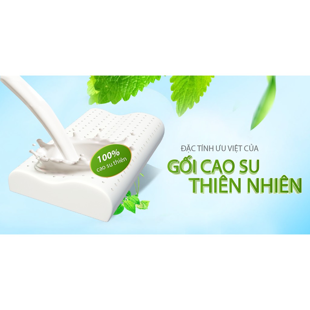 Gối cao su cao 12cm nâng đỡ tối ưu cột sống giảm trơn trượt Siny A hãng Kim Cương 44x64cm