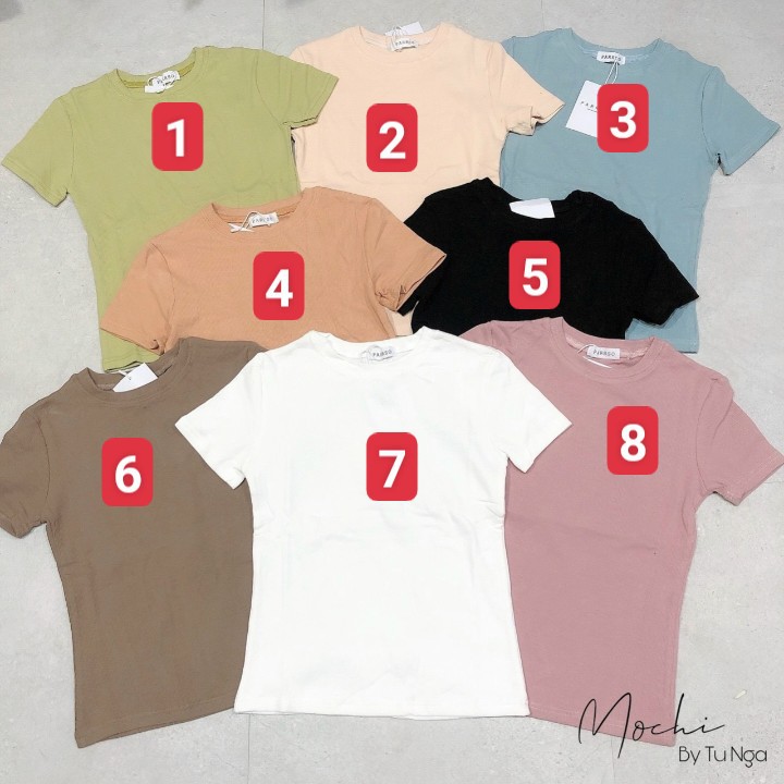 Áo phông nữ trơn chất thun tăm dày dặn màu pastel chất co giãn hàng quảng châu cao cấp