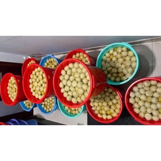 Chè Trôi Nước Nước Cốt Dừa/ 5 Viên