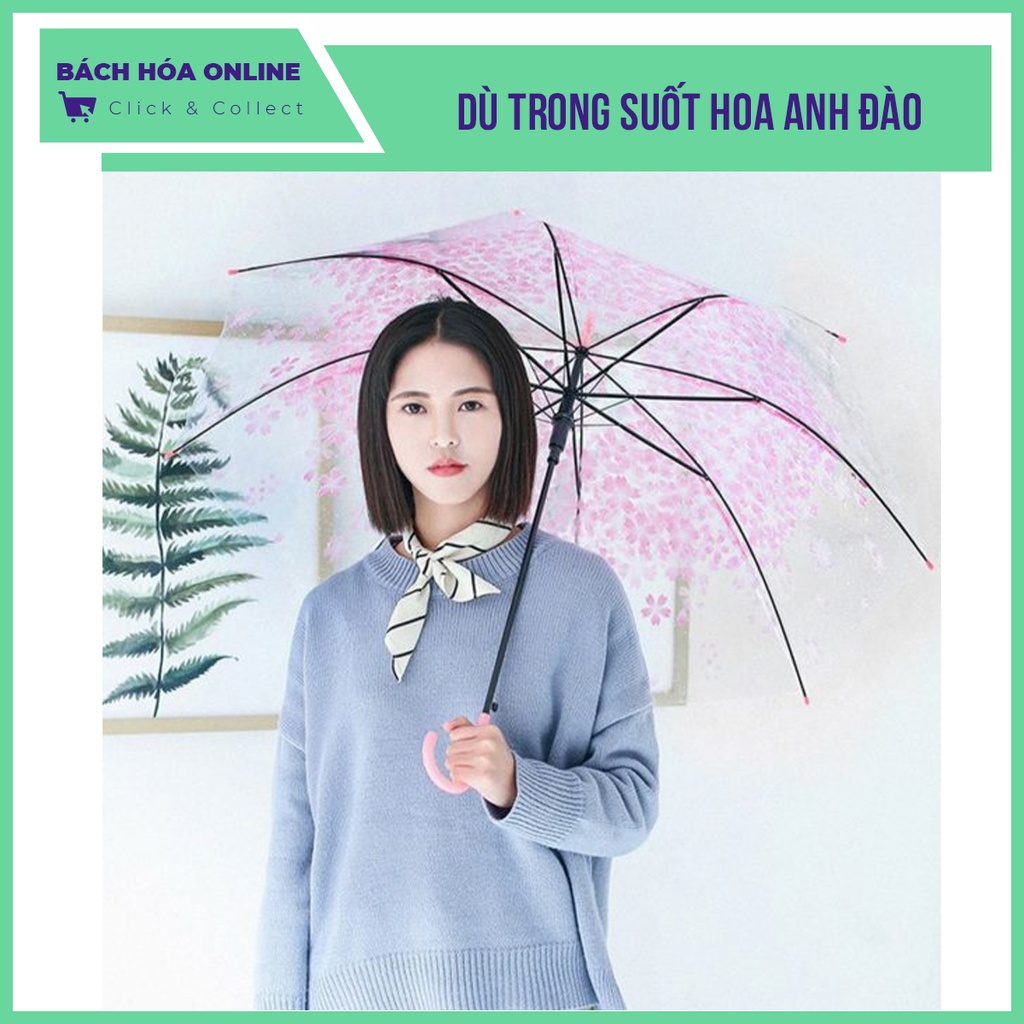 Ô Dù trong suốt hoa anh đào khung bằng sắt chắc chắn, tay cầm nhựa đồng màu với hoa