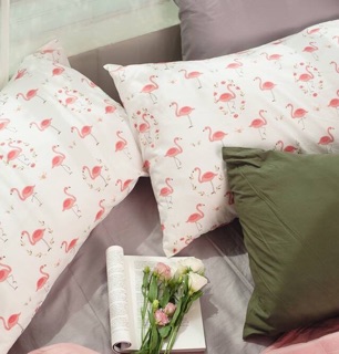 Áo gối 45x65
