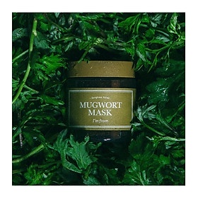 Mặt Nạ Chiết Xuất Ngải Cứu I'm From Mugwort Mask 110g