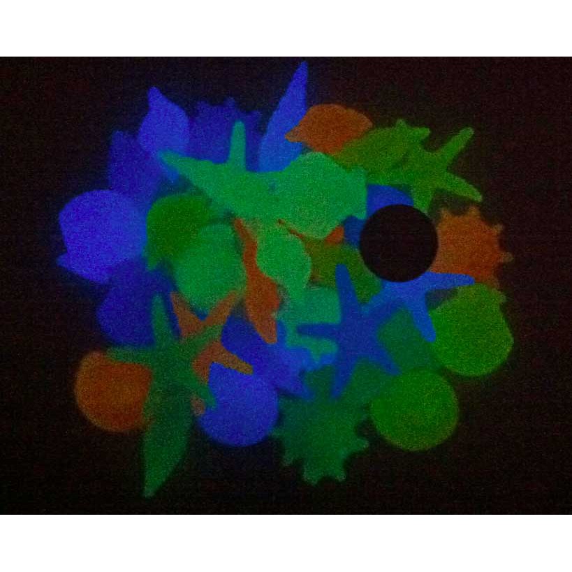 Sỏi dạ quang phát sáng hình sinh vật biển - phụ kiện trang trí cho thác nước bể cá động vật biển vỏ ốc sao biển sò biển