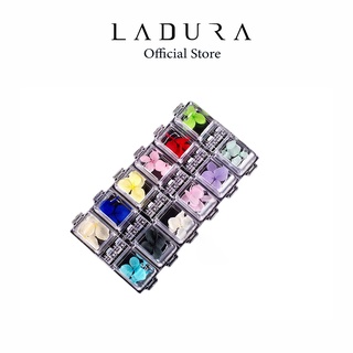 Hoa khô nail LADURA trang trí móng cánh to 12 màu