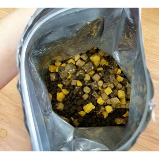 Thức ăn mèo Canin kitten 1kg