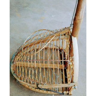 Lồng bẫy chim Chào mào, khướu, họa mi...