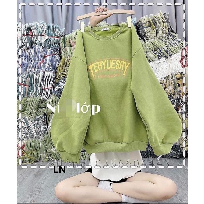 Áo nỉ bo cotton TERY LN12