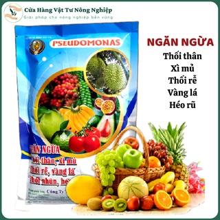 Chế phẩm sinh học TKS - Pseudomonas
