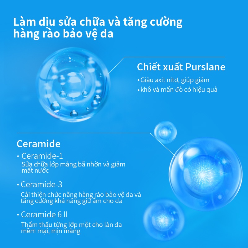 Kem Dưỡng Ẩm Chăm Sóc Da Hai Đầu 50g Tiện Dụng