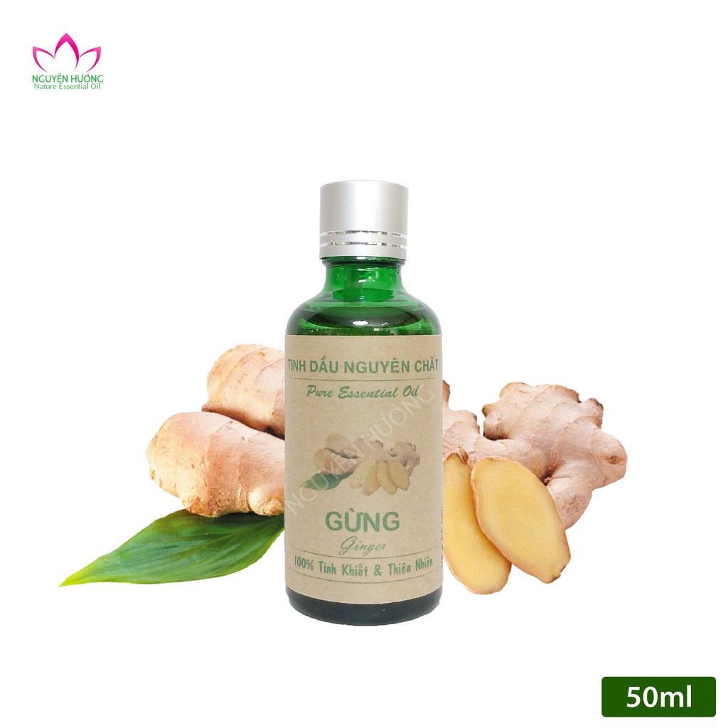 Tinh Dầu Gừng (Ginger ) – 100% nguyên chất ( Treo xe, Xông thơm phòng... ) | Thế Giới Skin Care