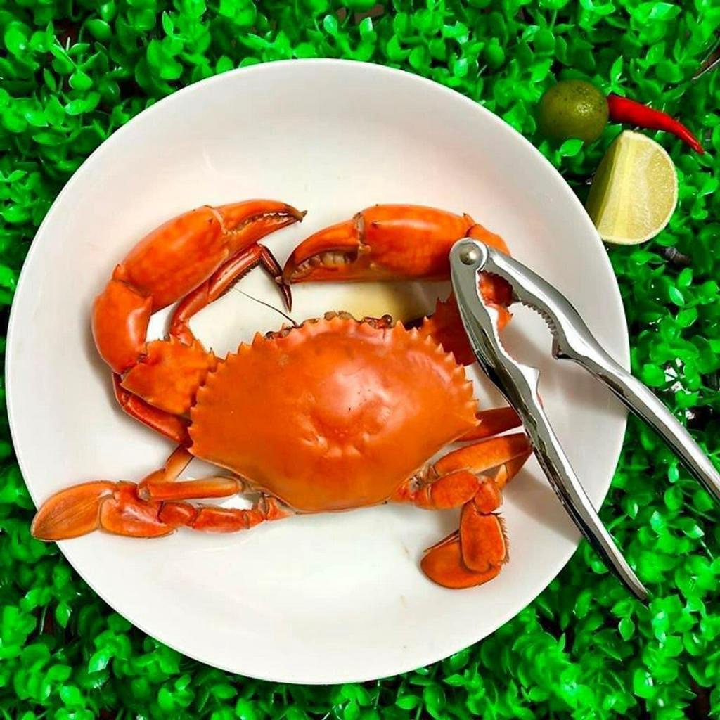 Dụng cụ kẹp càng cua, ghẹ, quả óc chó... innox đa năng