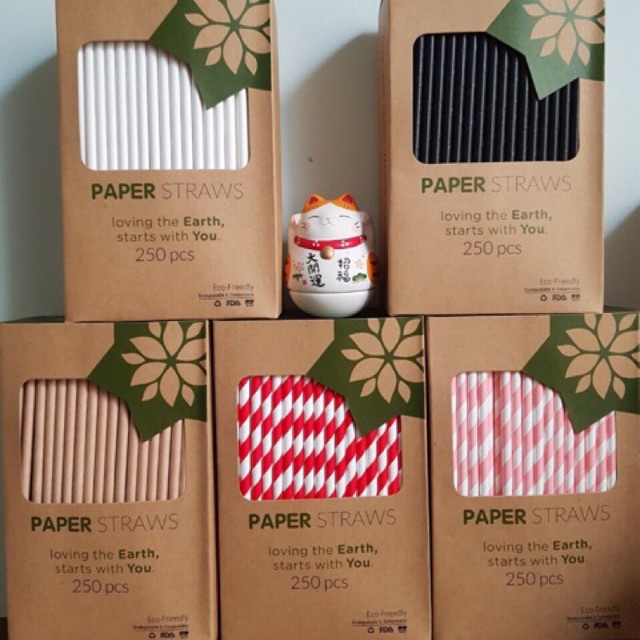 Hộp ống hút giấy Biogreen thân thiện môi trường | BigBuy360 - bigbuy360.vn