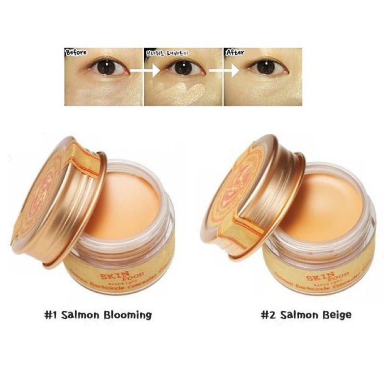 Che khuyết điểm Skinfood Salmon Darkcircle Concealer Cream 10g