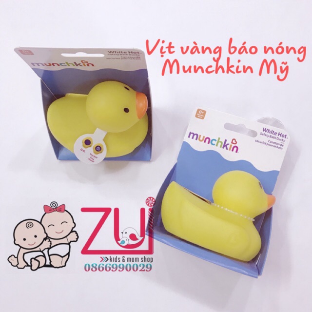 Vịt vàng báo nóng Munchkin Mỹ