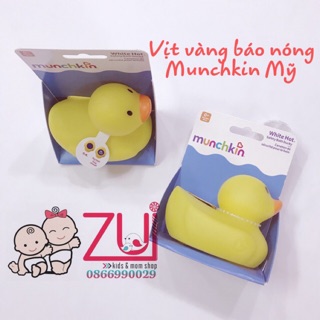 Vịt vàng báo nóng Munchkin Mỹ