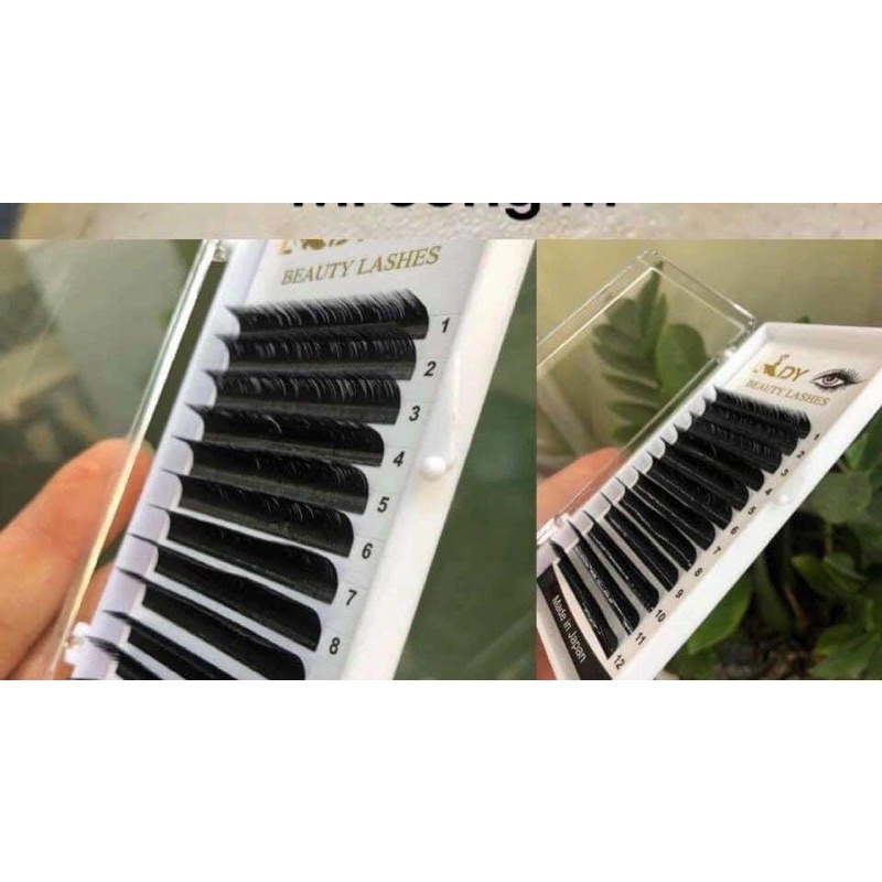 Mi khay Lady, mi Dưới... chất mi siêu đẹp, không mi con