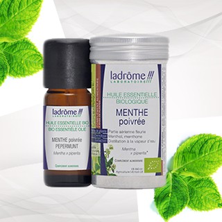 Tinh Dầu Organic Bạc Hà - Peppermint