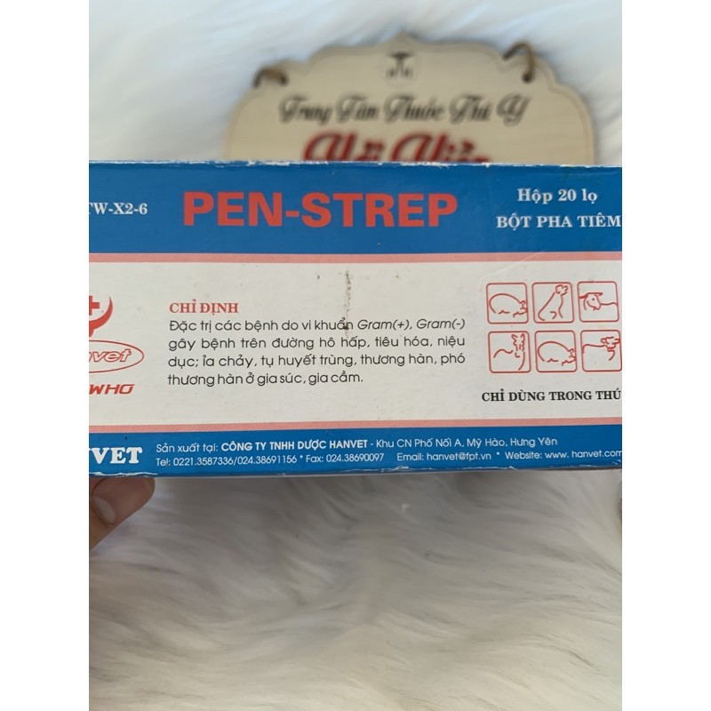 1 lọ PEN STREP - bột pha tiêm - dùng tốt trên gia cầm, chó, mèo, dê, cừu, heo, trâu, bò