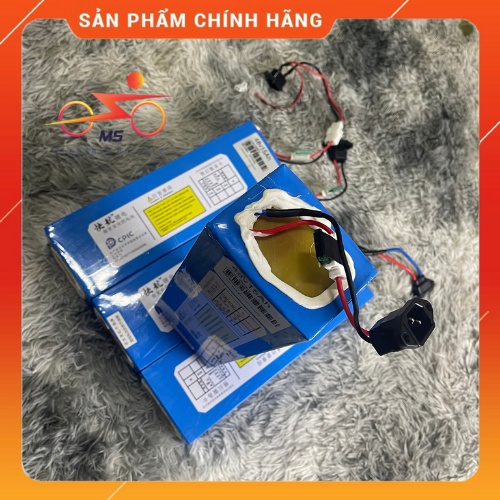 Pin Lithium 48V Chính Hãng - Pin Nhập Khẩu Tận Gốc Tại Nhà Máy - Hàng Loại 1 - Bảo Hành 2 Năm