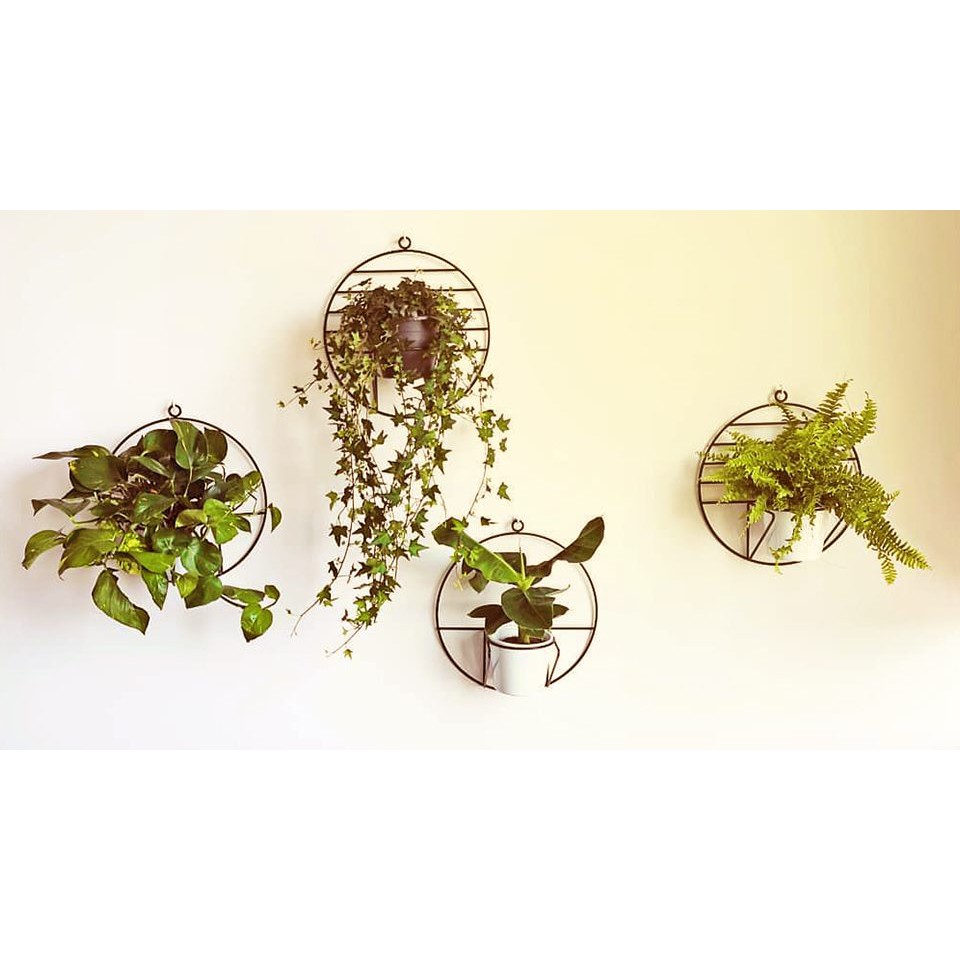 Kệ treo trang trí chậu cây xanh lên tường WB001