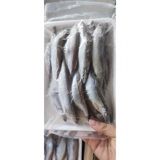 [ PHÚ NHUẬN] CÁ TRỨNG NAUY 1 KG NET 8