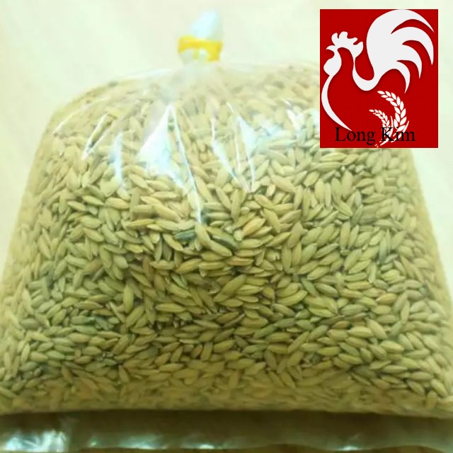 1KG LÚA THÓC CHẮC HẠT CHO GÀ, CHIM