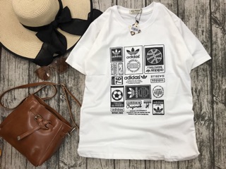 Combo 7 áo