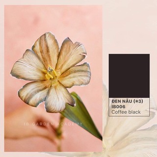 Thuốc nhuộm hoa/ IB006/ Đen nâu/ Coffee black
