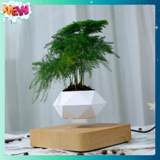 🇳 🇪 🇼®️ Chậu cây bay trang trí từ tính BonSai Bay Zero W Design