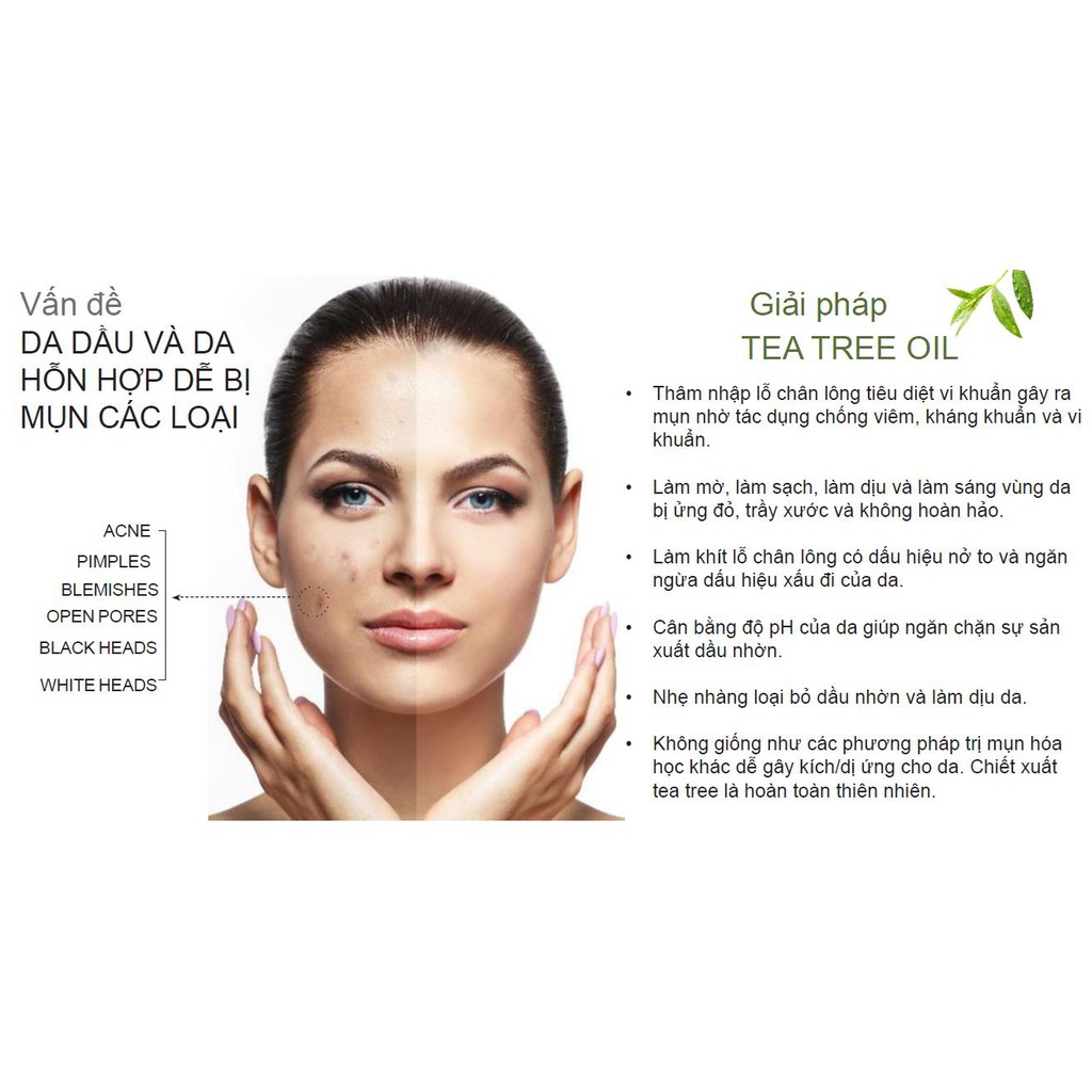 [Date T9/2021] Kem Trang Điểm BB Cho Da Mụn & Da Dầu Chiết Xuất Tea Tree-Farmasi Tea Tree BB Cream –Light To Medium 50ml | BigBuy360 - bigbuy360.vn