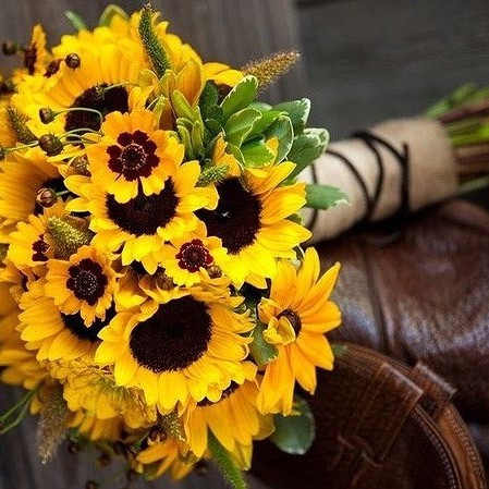 SunflowerandRose