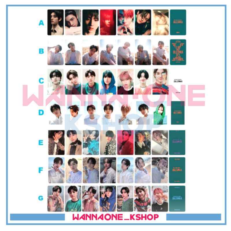 Photocard enhypen dilemma POB