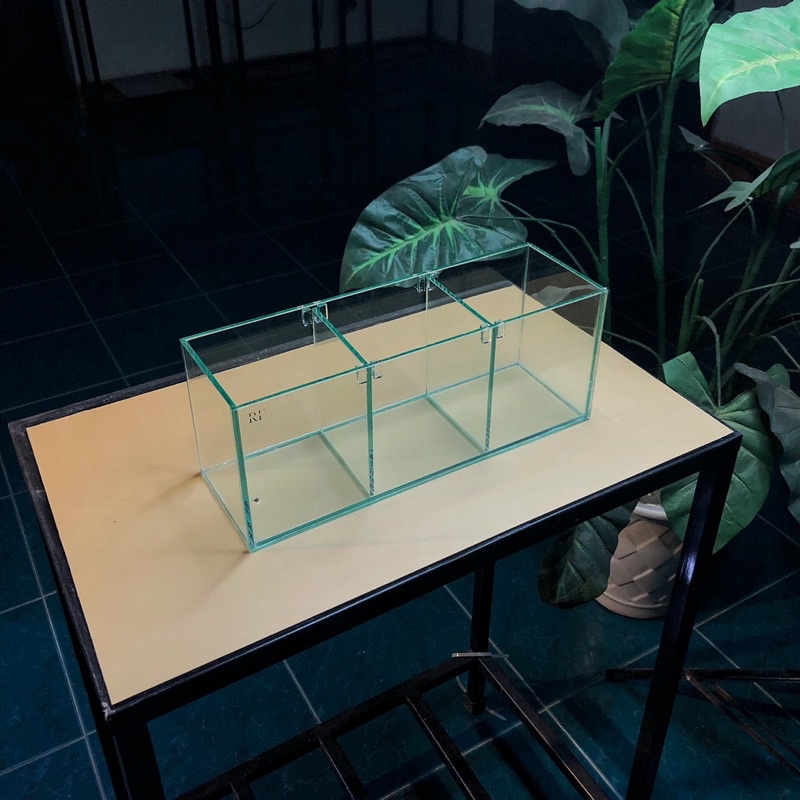 Bể cá betta D30xR10xC12cm 3 ngăn