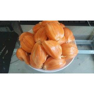 Cây Mít Malaysia Ruột Đỏ Sơ Đỏ Siêu Ngon