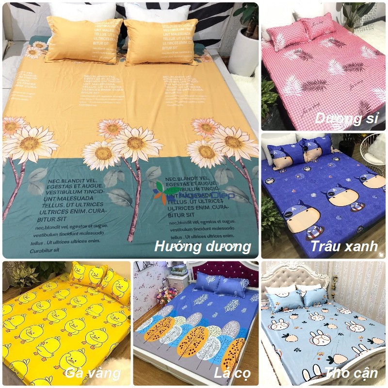 Sale ngẫu nhiên giá lẻ = giá sỉ bộ ga chun poly cotton m6 hoặc m8 | BigBuy360 - bigbuy360.vn