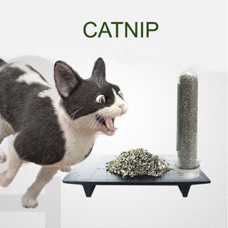 Catnip ống 40ml - Bạc hà mèo giúp mèo giảm stress, kích thích tinh thần cho mèo